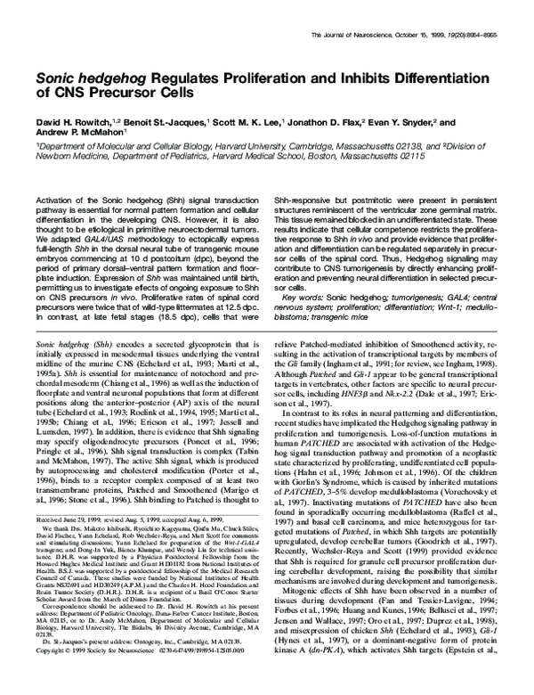 (PDF) Sonic hedgehog regulates proliferation and inhibits ...