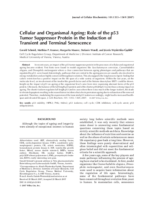 (PDF) Cellular and organismal ageing: Role of the p53 tumor suppressor ...