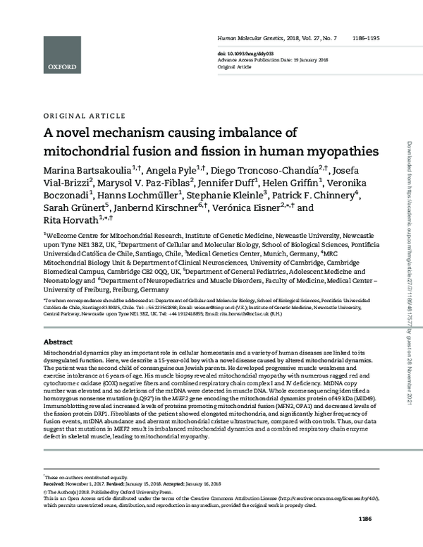 (PDF) A novel mechanism causing imbalance of mitochondrial fusion and ...