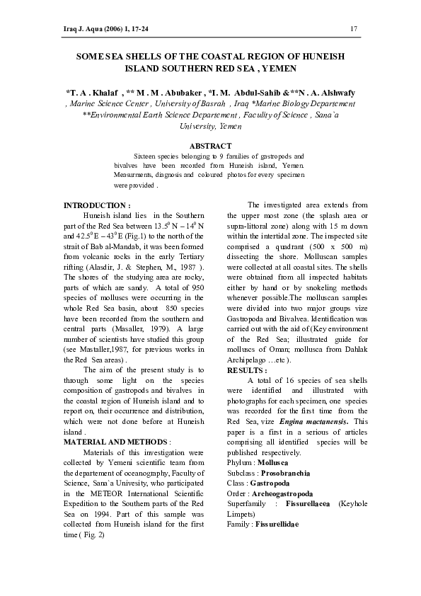 (PDF) Some sea shells of the coastal region of Huneish Island Southern ...