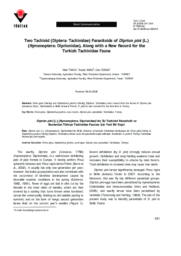 (PDF) Two Tachinid (Diptera: Tachinidae) Parasitoids of Diprion pini (L ...