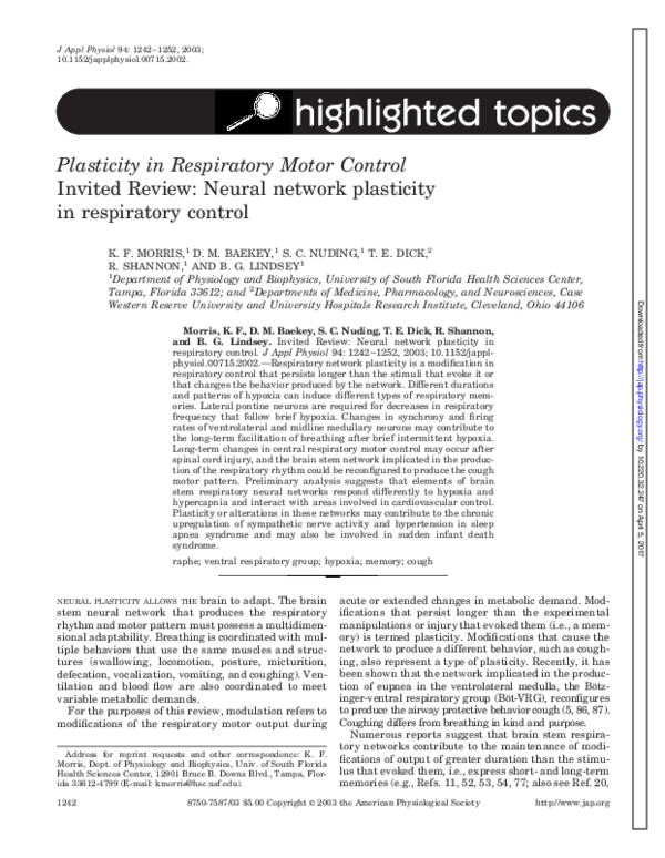 (PDF) Invited review: Neural network plasticity in respiratory control