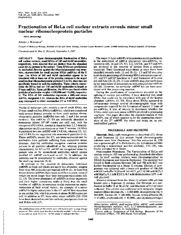(PDF) Fractionation of HeLa cell nuclear extracts reveals minor small ...