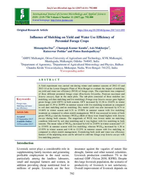(PDF) Influence of Mulching on Yield and Water Use Efficiency of ...