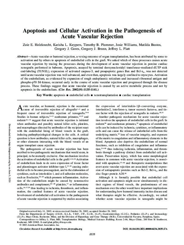 (PDF) Apoptosis and Cellular Activation in the Pathogenesis of Acute ...