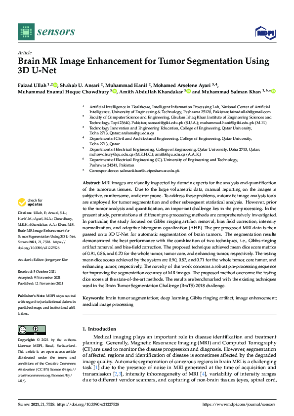 (PDF) Brain MR Image Enhancement for Tumor Segmentation Using 3D U-Net