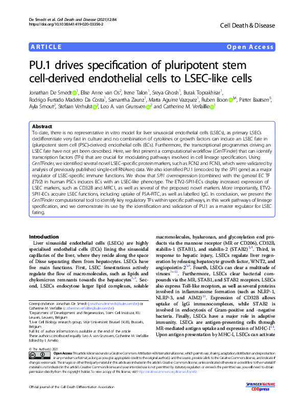 (PDF) PU.1 drives specification of pluripotent stem cell-derived ...