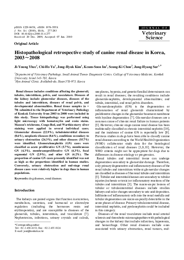 (PDF) Histopathological retrospective study of canine renal disease in ...