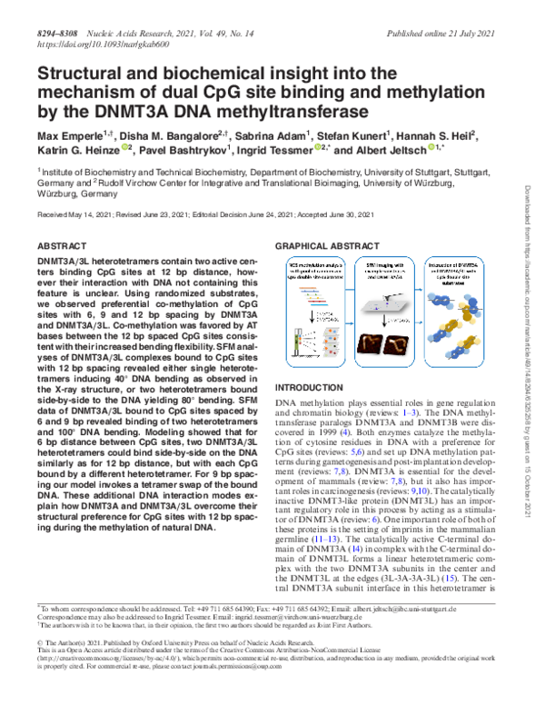 (PDF) Structural and biochemical insight into the mechanism of dual CpG ...