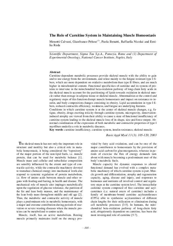 (PDF) The role of carnitine system in maintaining muscle homeostasis