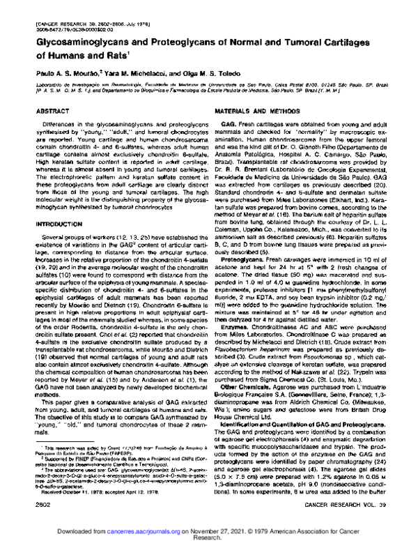 (PDF) Glycosaminoglycans and proteoglycans of normal and tumoral ...