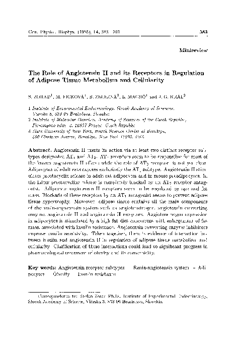 (PDF) The role of angiotensin II and its receptor in regulation of ...