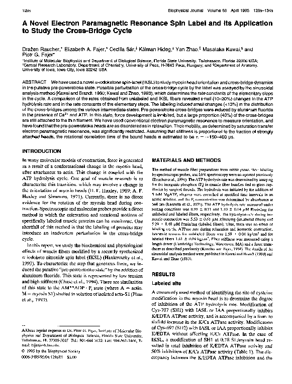 (PDF) A novel electron paramagnetic resonance spin label and its ...