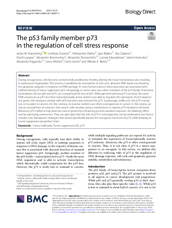 (PDF) The p53 family member p73 in the regulation of cell stress response
