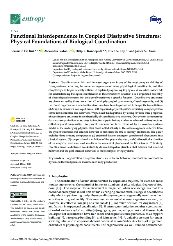 (PDF) Functional Interdependence in Coupled Dissipative Structures ...