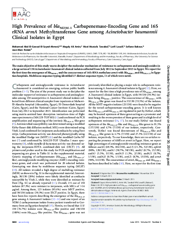 (PDF) High prevalence of bla NDM-1 carbapenemase-encoding gene and ...
