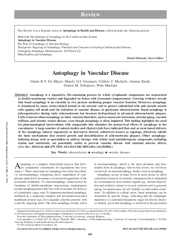 (PDF) Autophagy in vascular disease | Dorien Schrijvers - Academia.edu