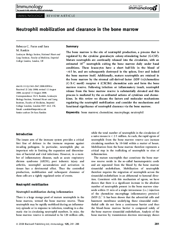 (PDF) Neutrophil mobilization and clearance in the bone marrow