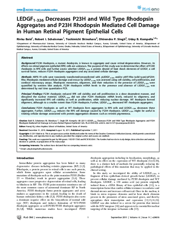 (PDF) LEDGF1-326 Decreases P23H and Wild Type Rhodopsin Aggregates and ...