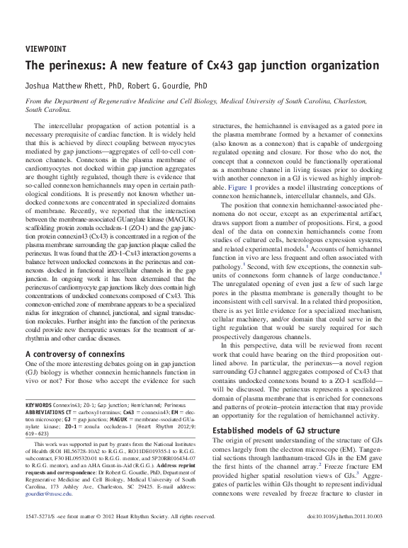 (PDF) The perinexus: A new feature of Cx43 gap junction organization