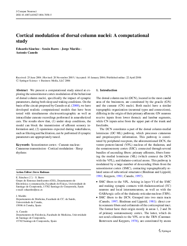 (PDF) Cortical modulation of dorsal column nuclei: A computational study