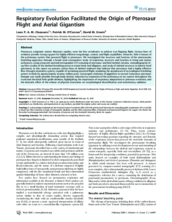 (PDF) Respiratory evolution facilitated the origin of pterosaur flight ...