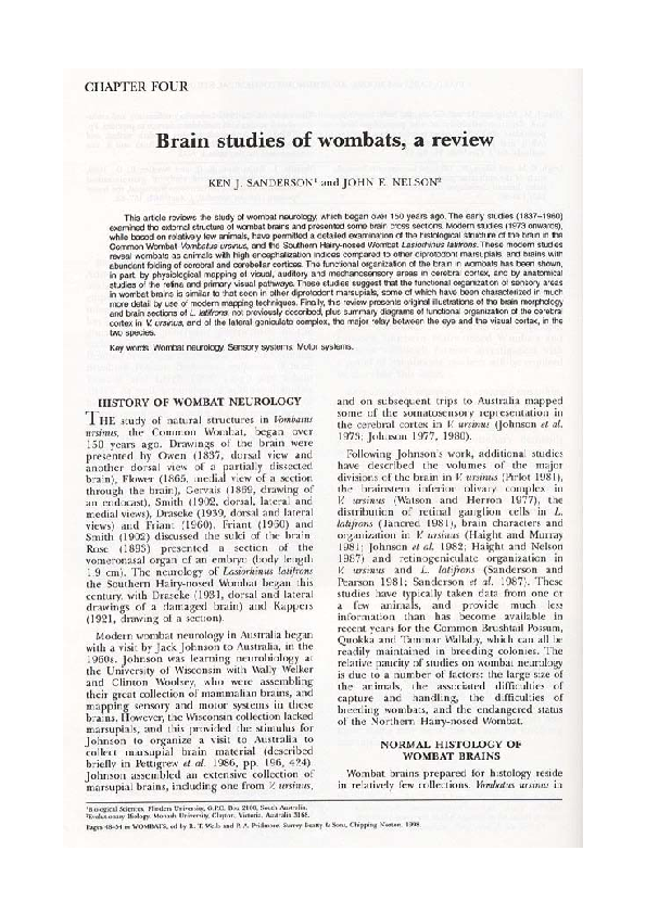 (PDF) Brain studies of Wombats, a review