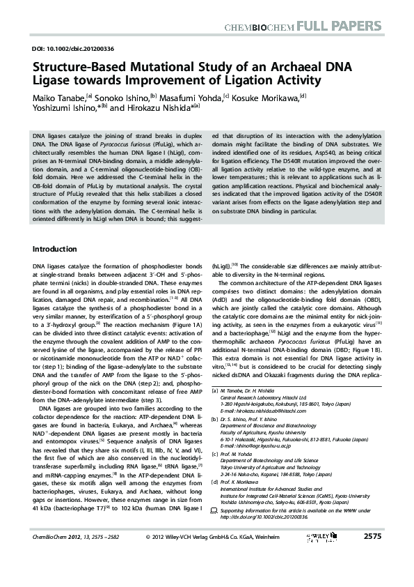 (PDF) Structure-Based Mutational Study of an Archaeal DNA Ligase ...
