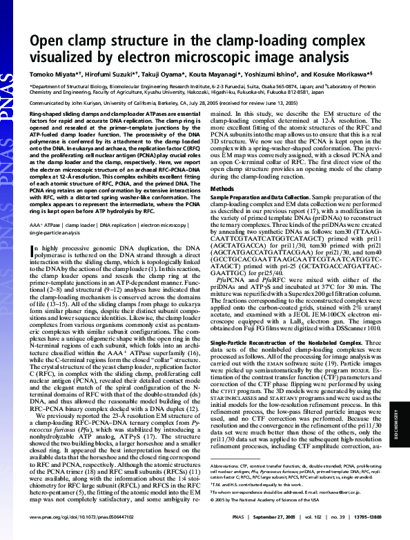 (PDF) Open clamp structure in the clamploading complex visualized by