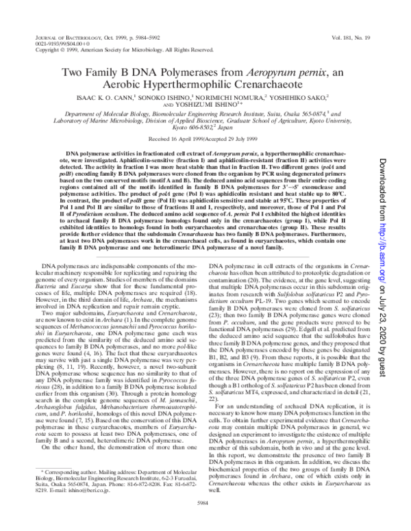 (PDF) Two family B DNA polymerases from Aeropyrum pernix, an aerobic ...