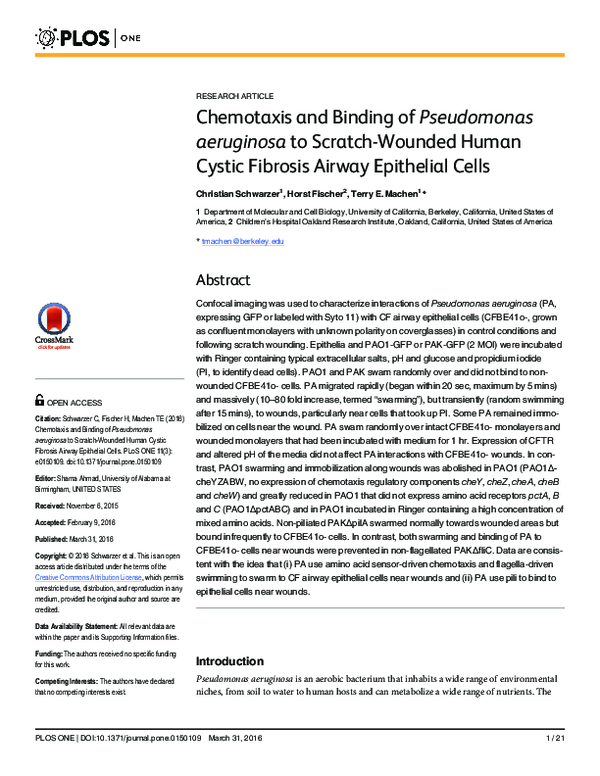 (PDF) Chemotaxis and Binding of Pseudomonas aeruginosa to Scratch ...