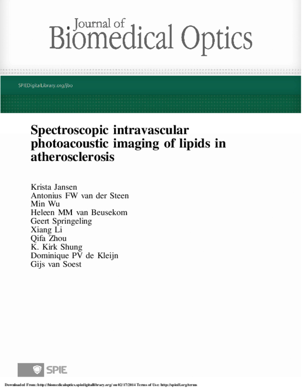 (PDF) Spectroscopic intravascular photoacoustic imaging of lipids in ...