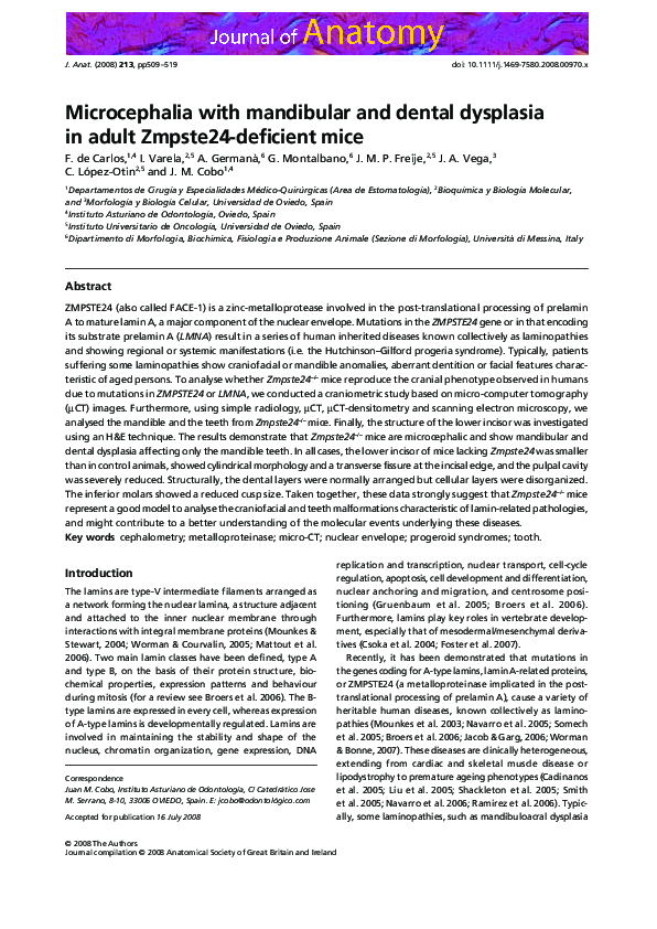 (PDF) Microcephalia with mandibular and dental dysplasia in adult ...