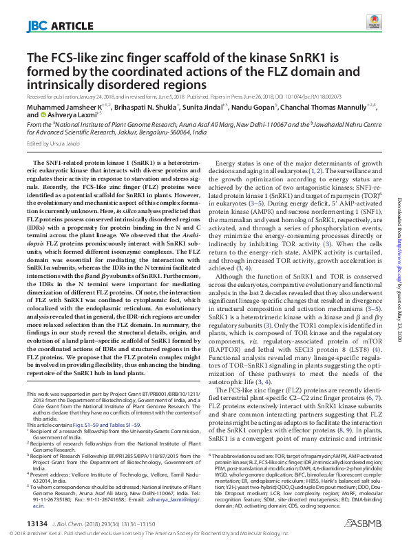 (PDF) The FCS-like zinc finger scaffold of the kinase SnRK1 is formed ...