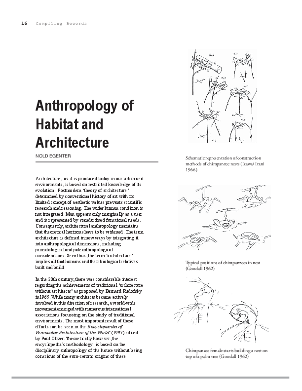 Social anthropology image