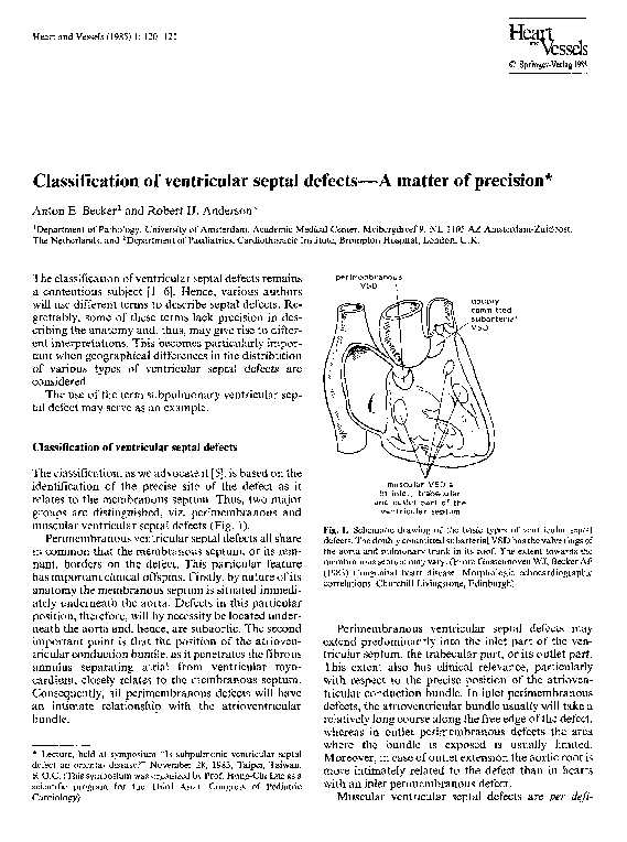 (PDF) Classification of ventricular septal defects—A matter of precision