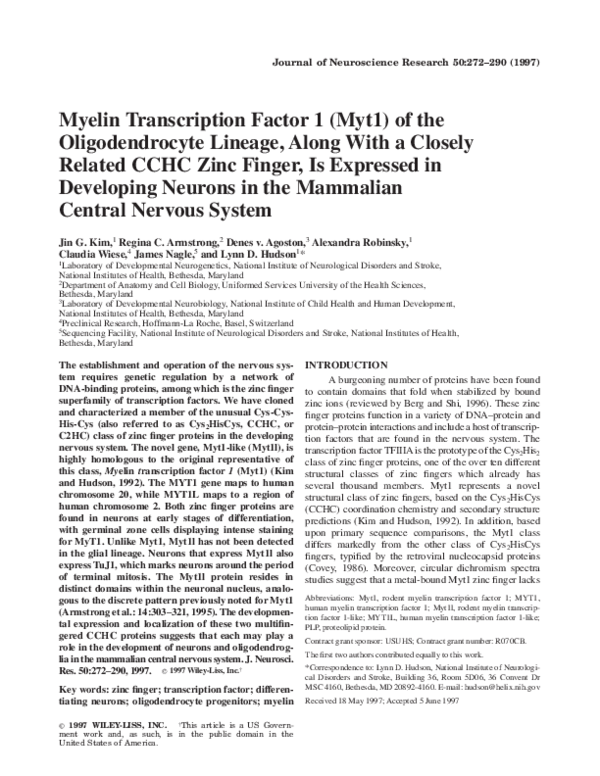 (PDF) Myelin transcription factor 1 (Myt1) of the oligodendrocyte ...