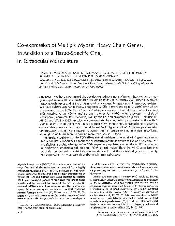 (PDF) Co-expression of multiple myosin heavy chain genes, in addition ...