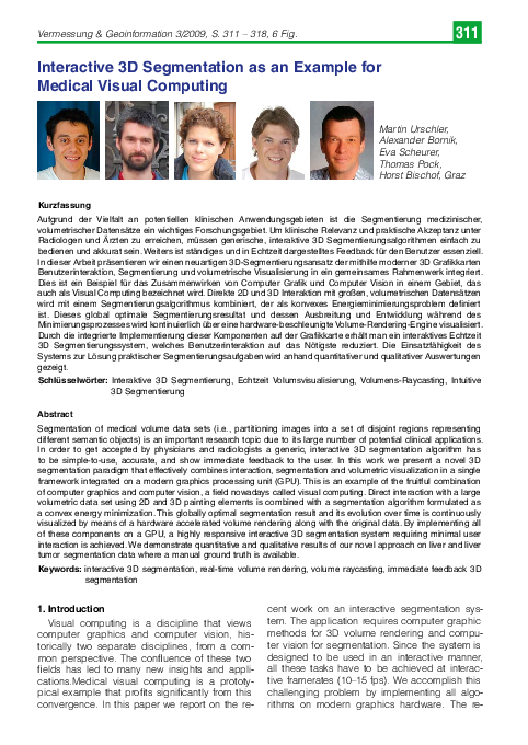 (PDF) Interactive 3D segmentation as an example for medical visual ...