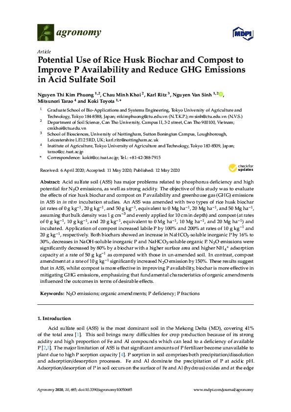(PDF) Potential Use of Rice Husk Biochar and Compost to Improve P ...