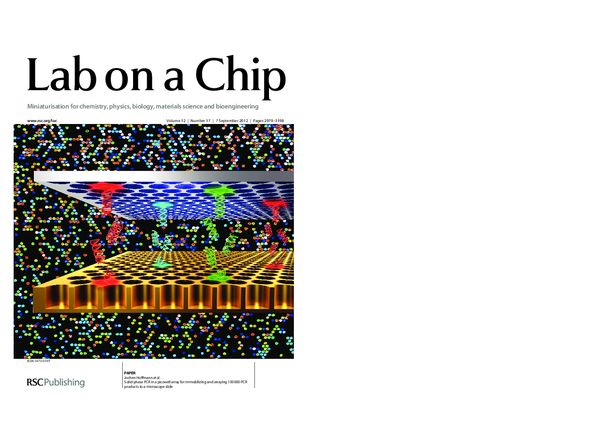 (PDF) Solid-phase PCR in a picowell array for immobilizing and arraying ...