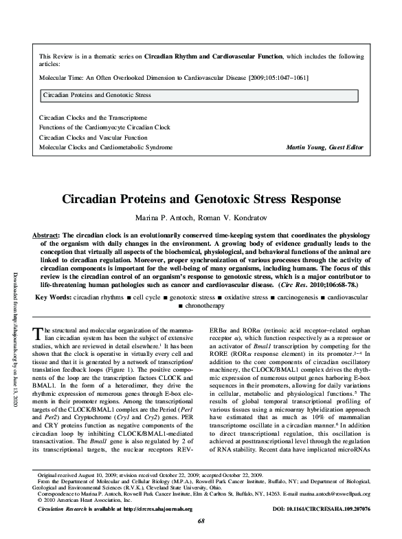 (PDF) Circadian Proteins and Genotoxic Stress Response
