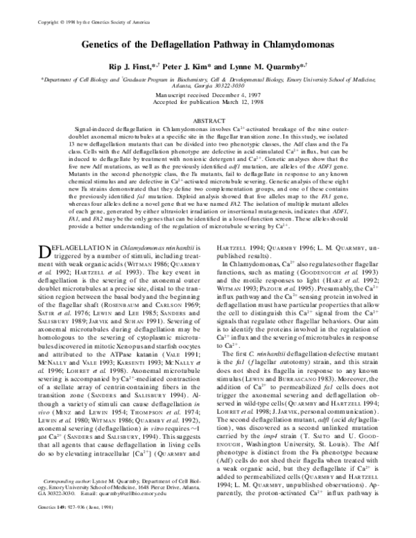 (PDF) Genetics of the Deflagellation Pathway in Chlamydomonas
