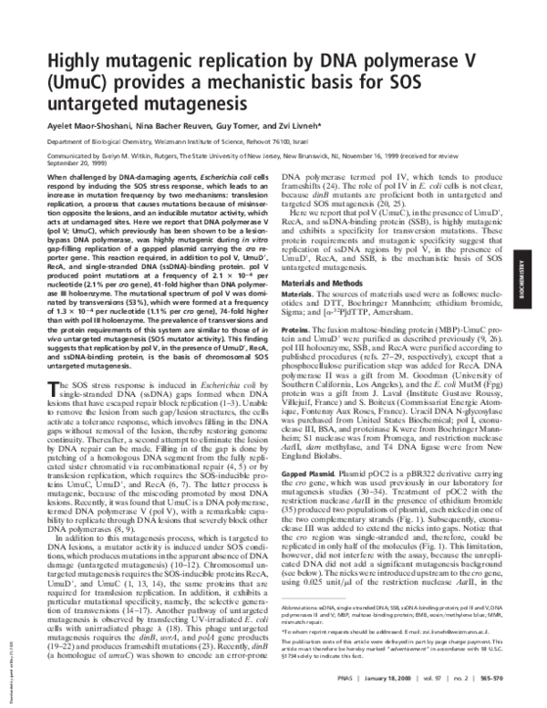 (PDF) Highly mutagenic replication by DNA polymerase V (UmuC) provides ...