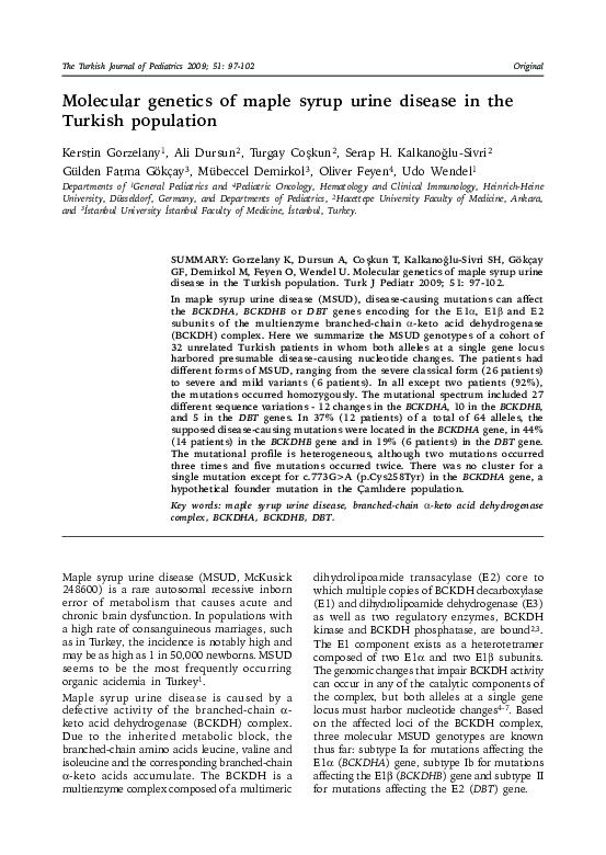 (PDF) Molecular of maple syrup urine disease in the Turkish population Gülden Gökçay