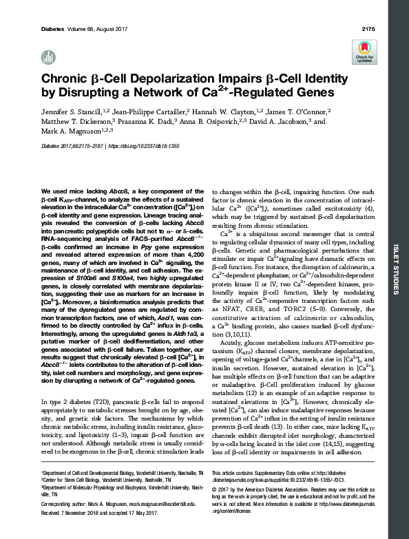 (PDF) Chronic β-Cell Depolarization Impairs β-Cell Identity by ...