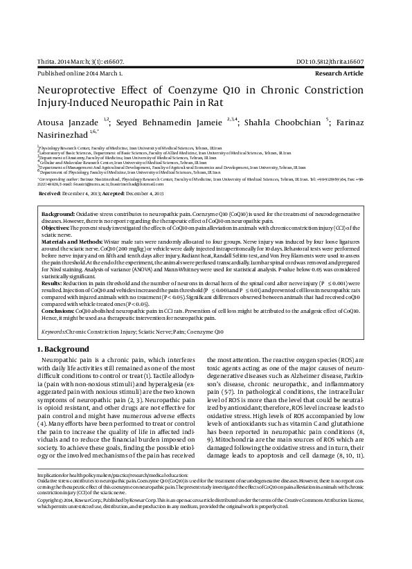 (PDF) Neuroprotective Effect of Coenzyme Q10 in Chronic Constriction ...