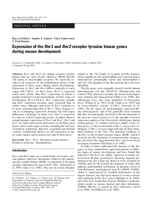 (PDF) Expression of the Ror1 and Ror2 receptor tyrosine kinase genes ...