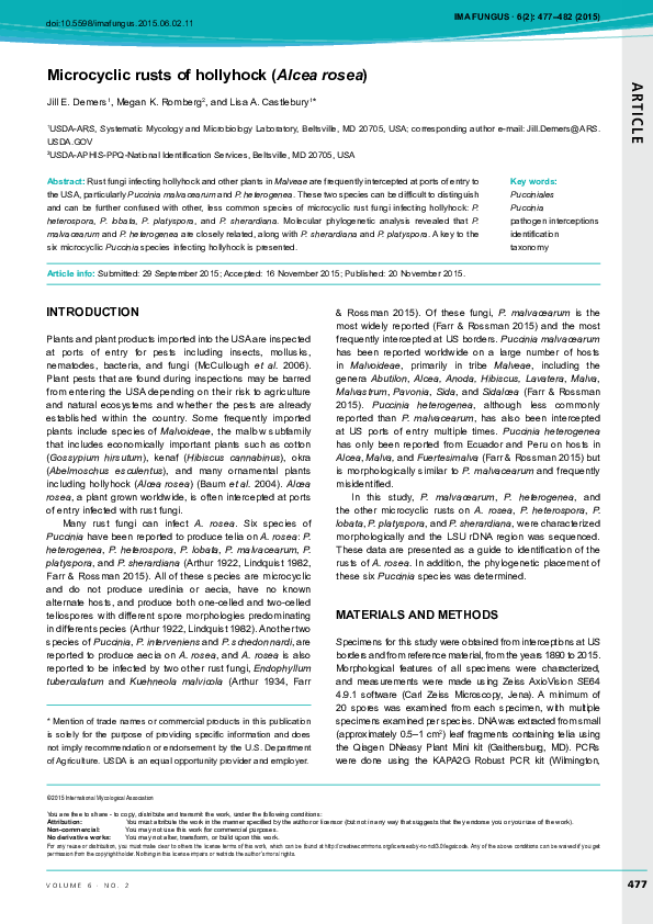(PDF) Microcyclic rusts of hollyhock (Alcea rosea) Megan Romberg Academia.edu