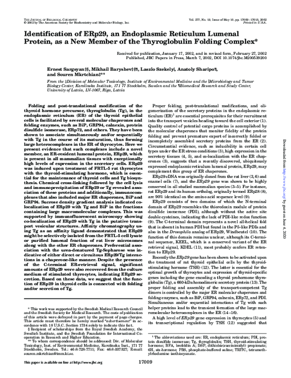 Identification of ERp29, an endoplasmic reticulum lumenal protein, as a new member of the thyroglobulin folding complex